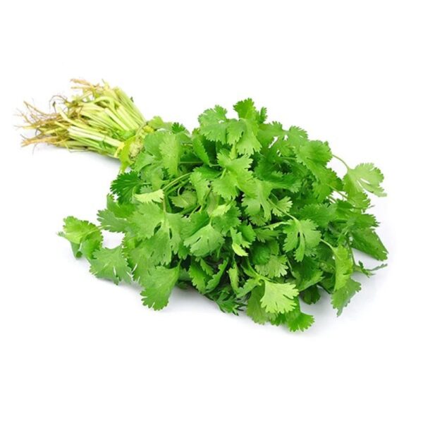 Dhaniya (Coriander)