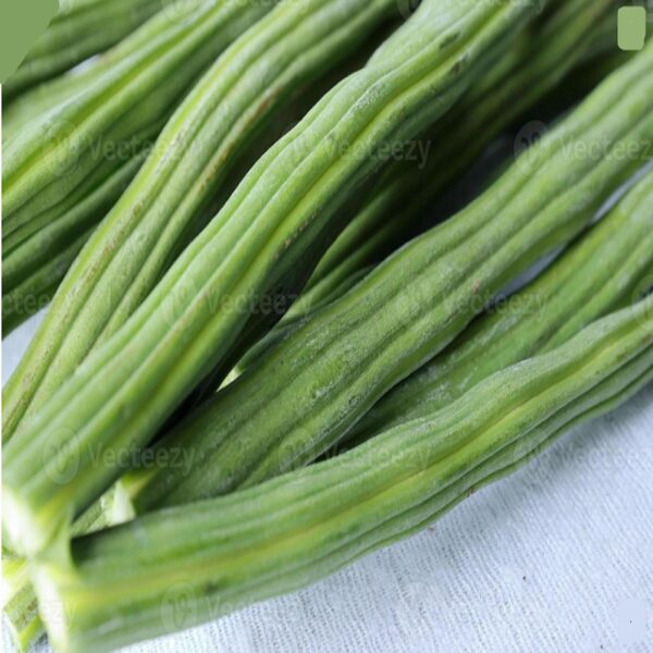 Sahjan Fali Moringa (Drumstick)