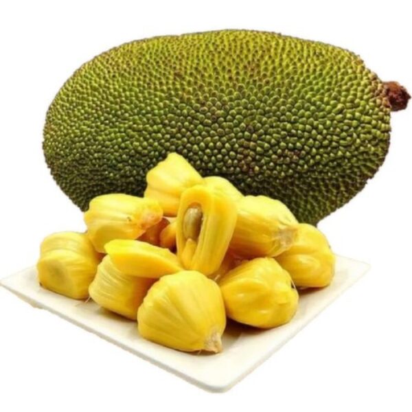 Kathal Tukde (Jackfruit Raw Cut)
