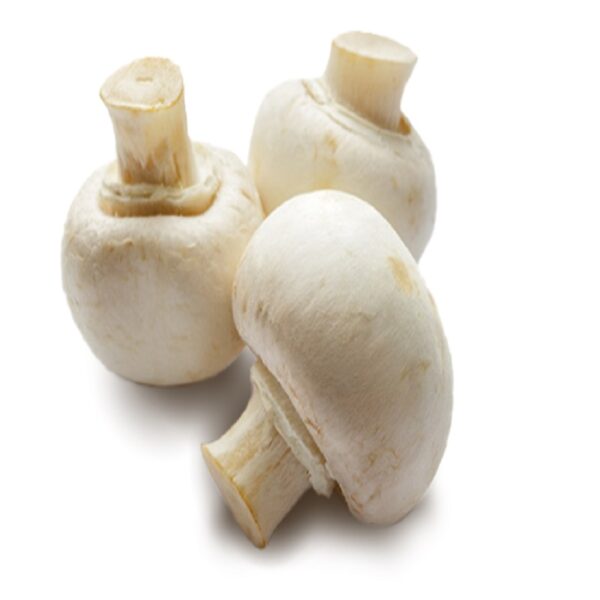 Mushroom (Kukurmuta)