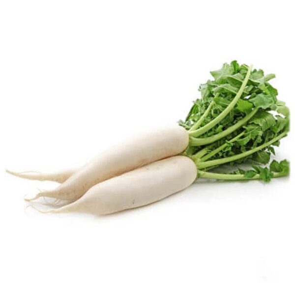 Mooli (Radish White)