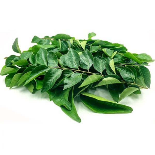 Kari Patta (Curry Leaf)