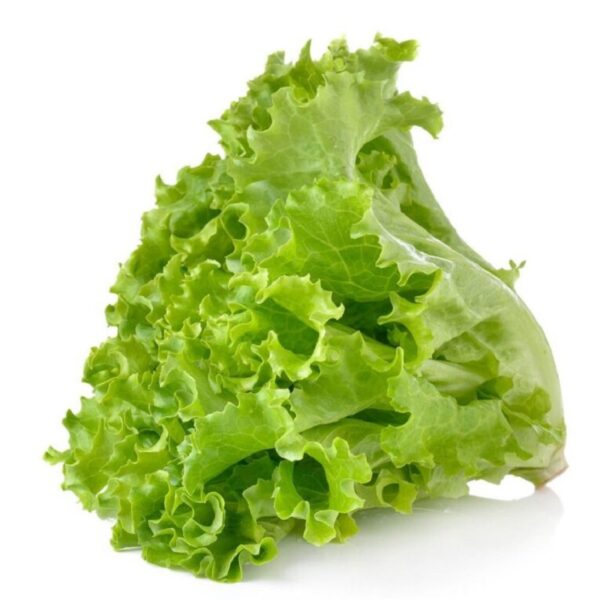 Lettuce (Salad Patta)