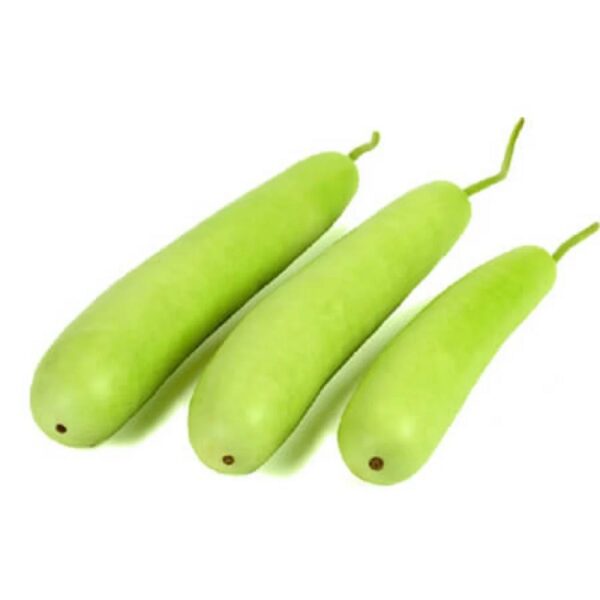 Louki (Bottle Gourd)