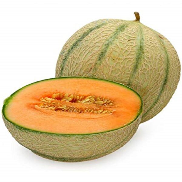 Musk Melon (Kharbuja)