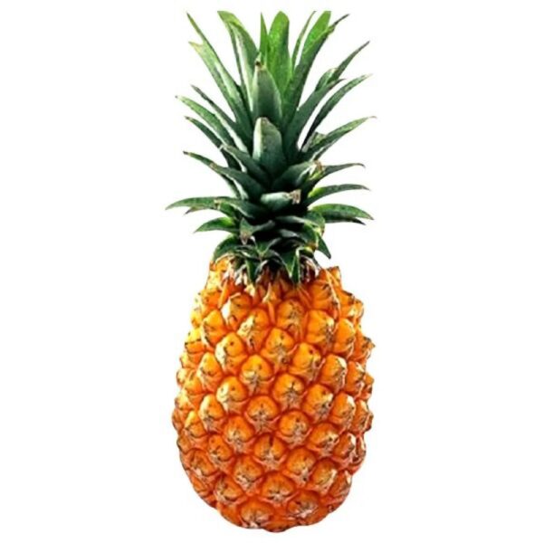 Pineapple (Ananas)