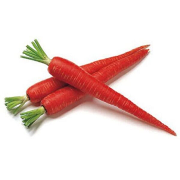 Gajar Desi (Carrot Red)