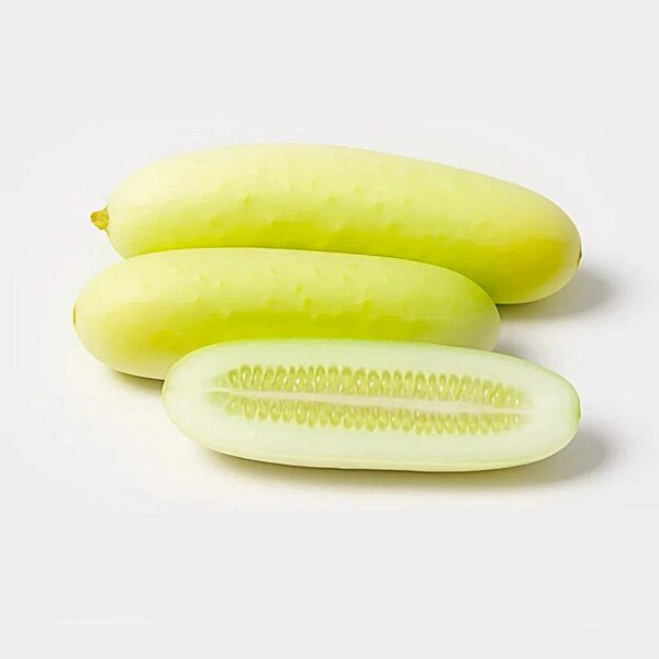 Kheera (Cucumber)