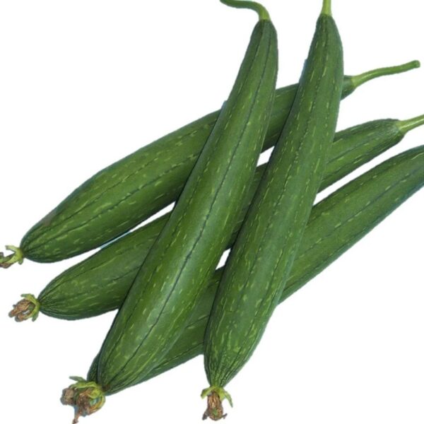 Turai Gilki (Sponge Gourd)