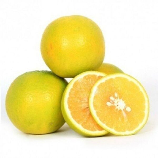 Mosambi (Sweet Lime)