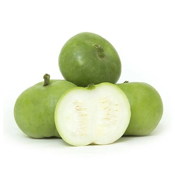 Tensi Tinda (Round Groud)